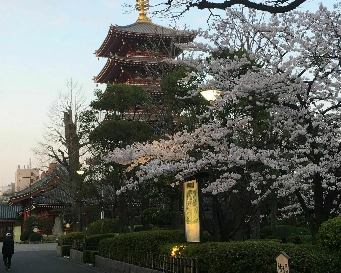 Hotel Oriental Lodge Asakusa Tokyo